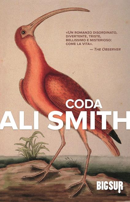 CODA • Ali Smith