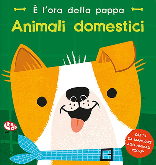 È L'ORA DELLA PAPPA: ANIMALI DOMESTICI