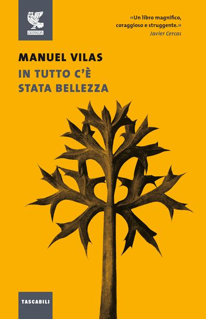 IN TUTTO C'È STATA BELLEZZA • Manuel Vilas