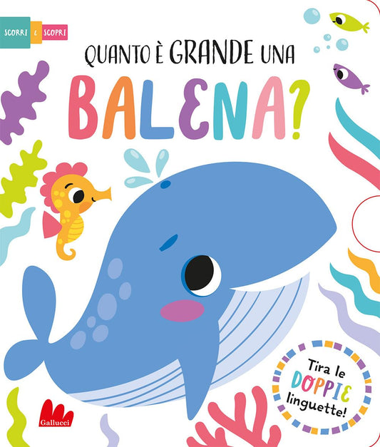 QUANTO È GRANDE UNA BALENA? Scorri e scopri